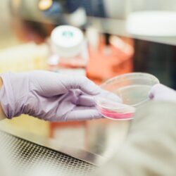 Laboratorieutrustning och labbteknik av högsta kvalitét