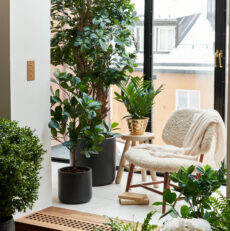 Konstväxter och Växtväggar: En Grön Touch för Inomhusmiljöer