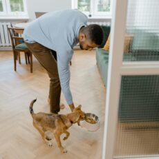 Vikten av Bra Hundgodis och Hundmat till Din Fyrbenta Vän